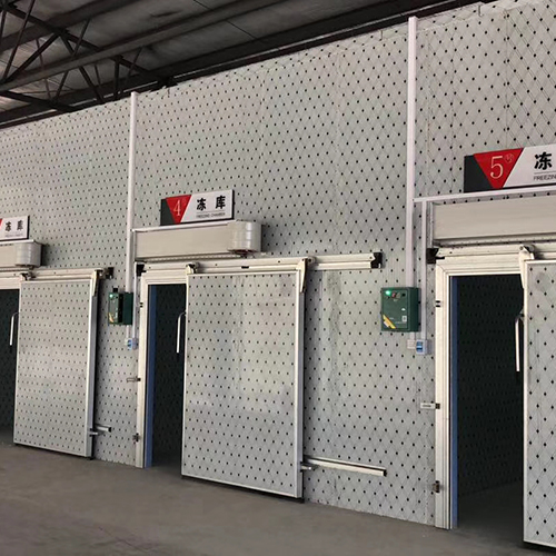 冷冻库（海鲜、肉类）